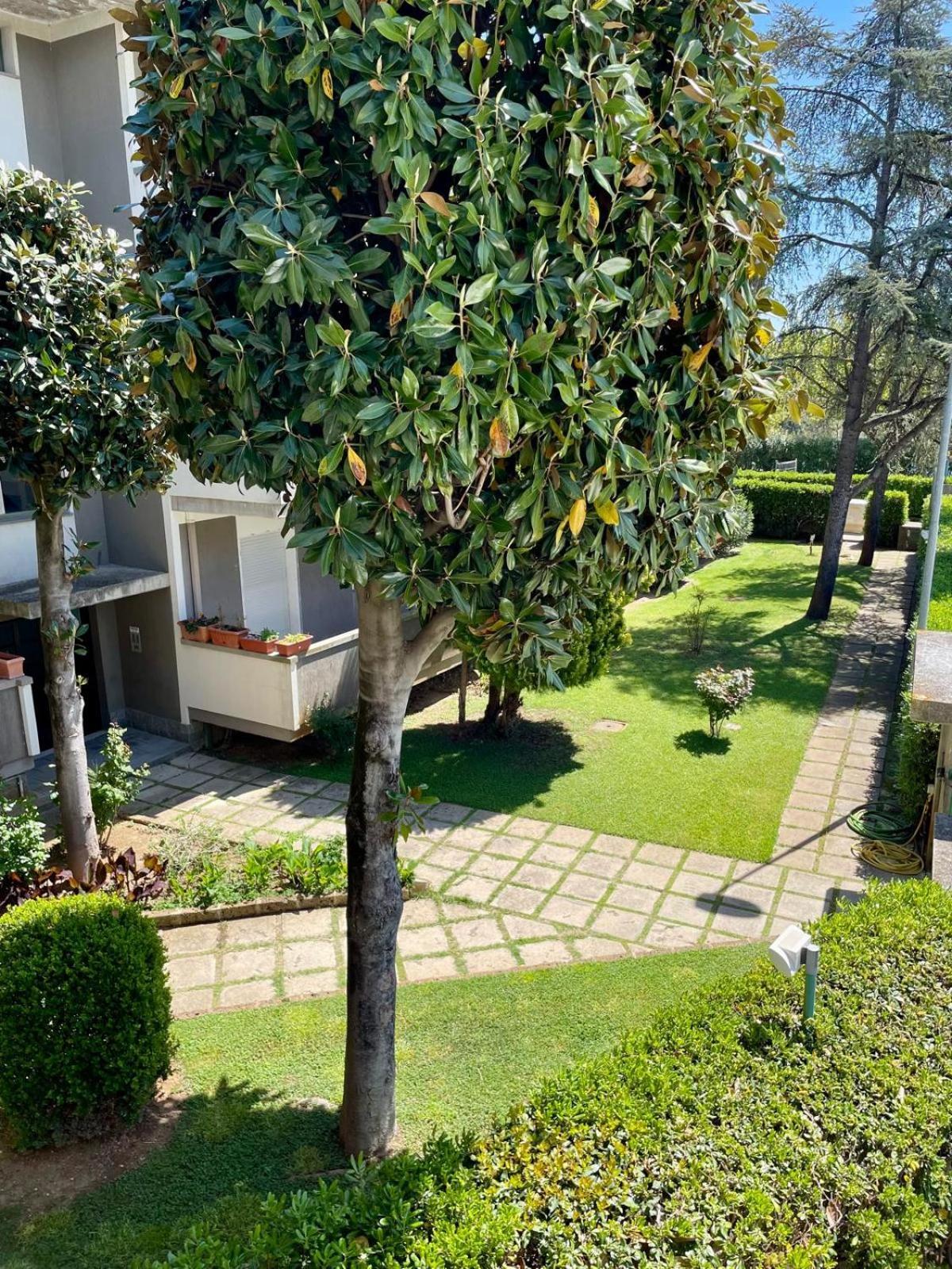 Residence Leonardo sul mare Silvi Marina Exterior foto